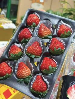 b0e25d3e56cc23fcd66a64ee5ba9dd1d