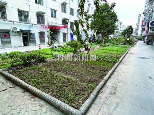 e37348bd00fa6ff8369747476bf23b0b