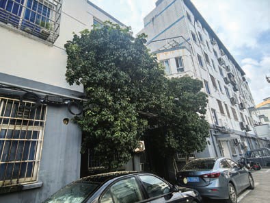 276e3fad9caaae0d83e2cd69cf0755c3