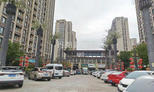 大风天，仿真椰子树惹人忧