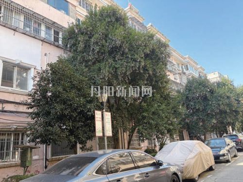 4c42fc8c9bff6bd1ae732969cf0bc529