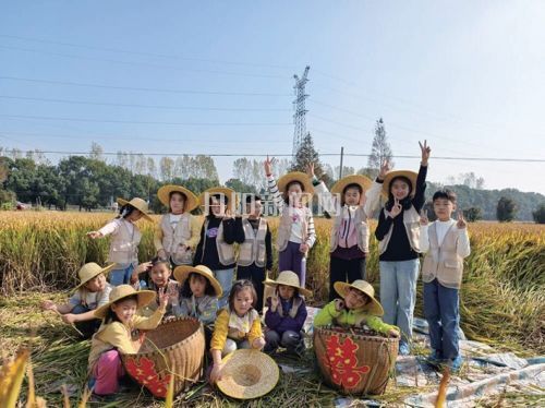 e3785cd19c1068244d8ce73691ce4454