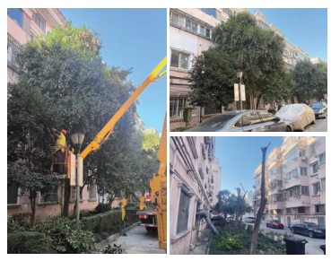 微信图片_2025-11-20_111441_056