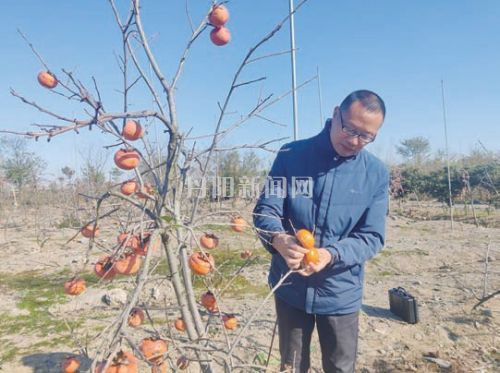 6290f8a2f5fc617e15e0d53ac541a328