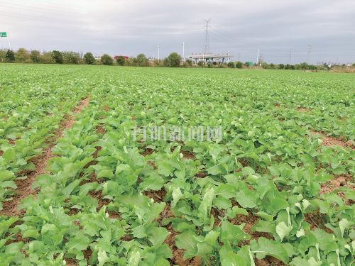 55f18aac5ee3dc622765382f06638986