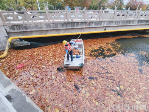 河道落叶日清日洁 水环境质量有保障