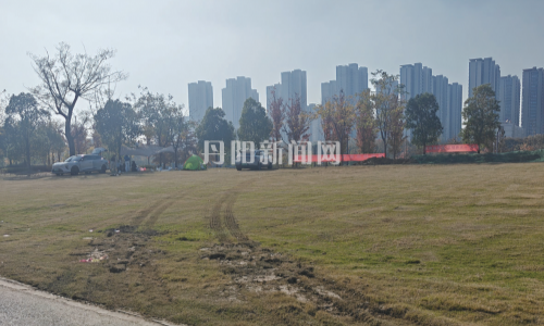 草坪变“营地”，文明要跟上