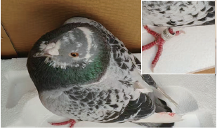 799cb9b142a0c6d1c3724233a1cf56e0