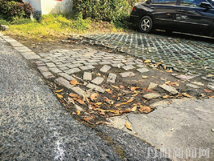 713068a94ac6b46cdaf3cb2425f724a3