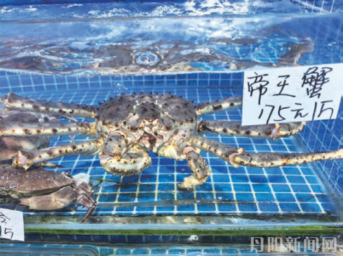 3dcb4a427140cf4c3fa2125d102a491f (1)