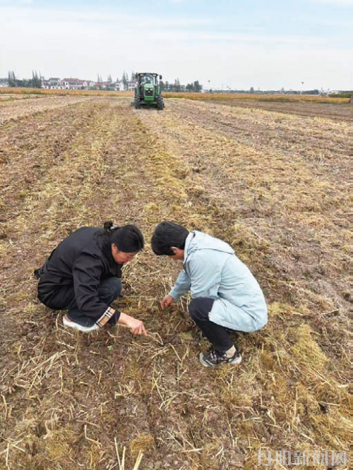 02fd8b1f568ee587dd806d6074094b36