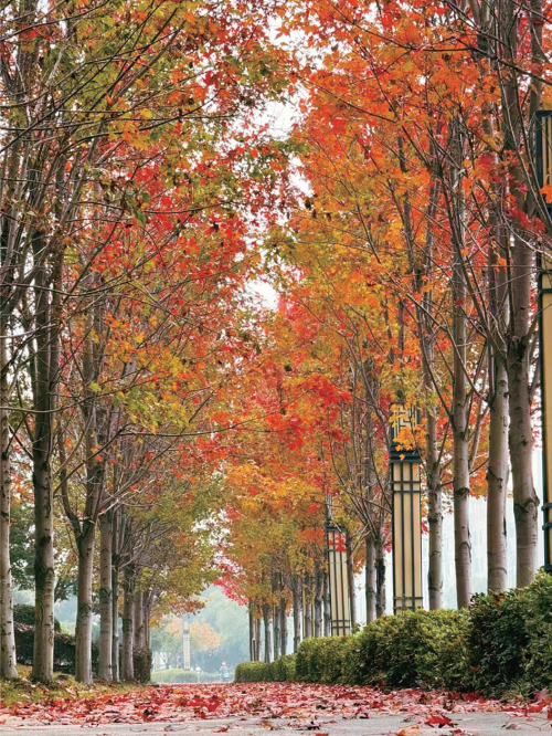 684caae4ec1282e94072092a0effe616