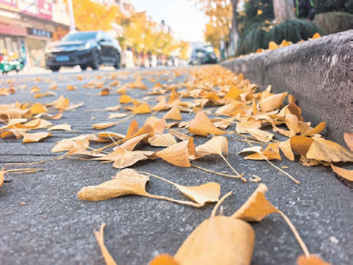 e5d1fba26a61242e35b3b36fd065f473