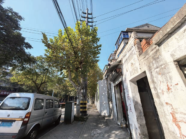 行道树疯长遮光又“缠”电线 居民盼修剪