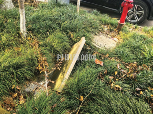 bf2be1120138e5946c8e1f02293dee4b