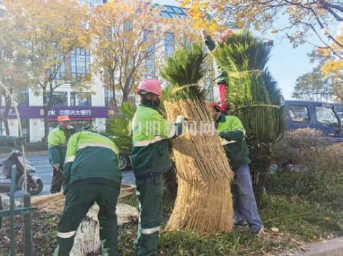 df5a5aeef70637cb11412f40346f424f