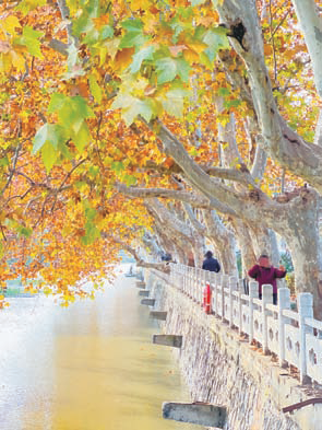 d62812720d7f5f1cf6c0f8f2b1bdd80d