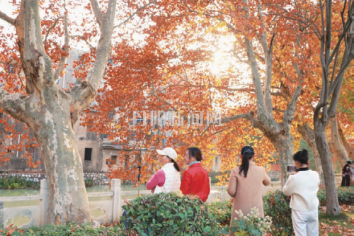 河道“好气色”，市民来“打卡”