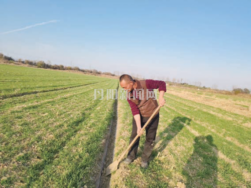 瞄准绿和优 铸就优质稻米好品牌