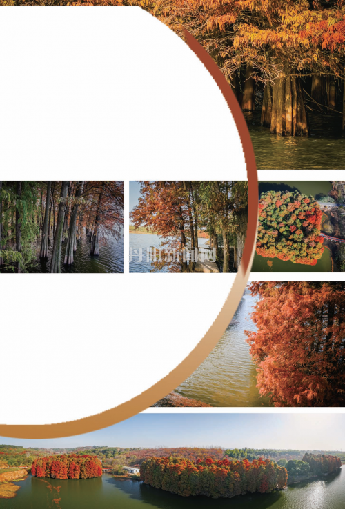 93a8a336e83f051be832ccd4ffac4d75