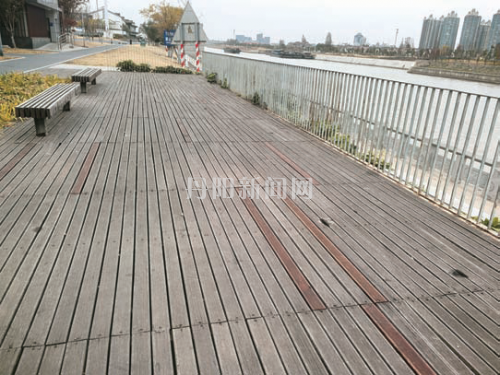观景台破损地板已修复 市民散步赏景更安心