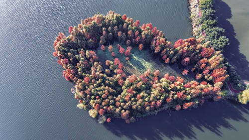 cf3ce77220897ce3b061e7cd8eacbb9b