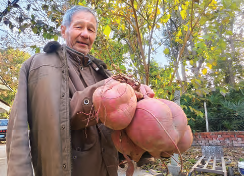 76c5aed9dcd720eac8aab8d5a9df2f33