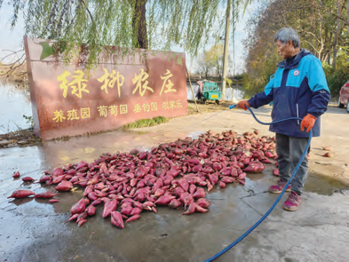 15345a4d2143d582137d6512cd683f99