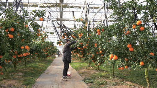 7fc6fdc8ede3b4cefeb1869df12d928d