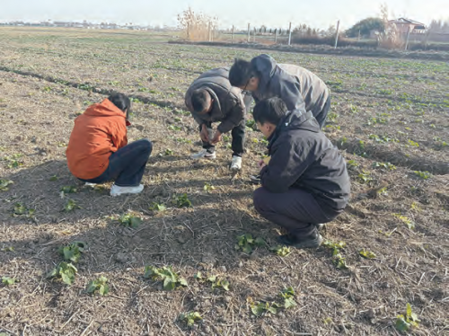 6a3a0e19c2a54259c0ad5d8c2da0e089