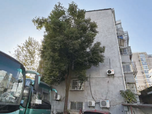 4797cb53b67c44c3bed0de0e716cba59