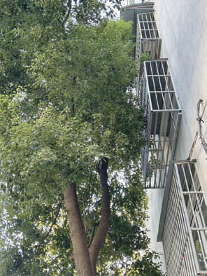 e413e5176d8209eeb25320b876273ce5