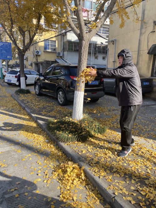 （新媒体3） “落叶缓扫”，既是新模式，也是一道“管理风景”！素材0