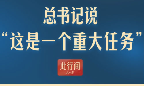 此行间·中央经济工作会议上，总书记提到一个重大任务