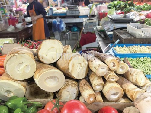 d2a19cd6d4cdf41858ef75e46331545b