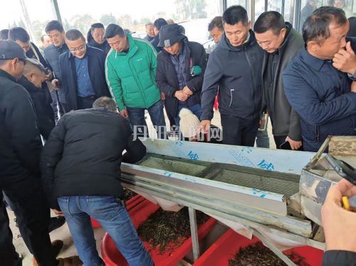 全省青虾健康养殖与新品种推广研讨观摩会在丹举行