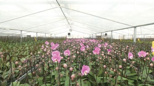 e85e119031315db7b9f9ff2a93ece873