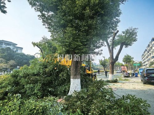 ea3126b462667f7d558a59a6bcd74eb6