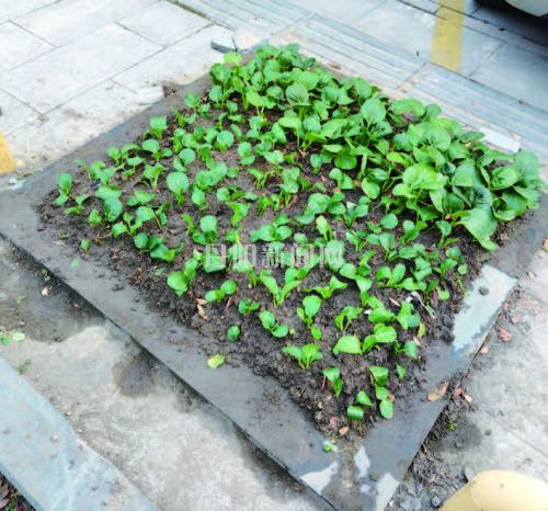 da37f28e36f179ae4018a373a1e601c6