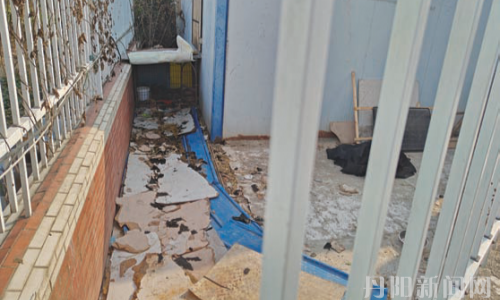 拆护栏建狗窝，这般养犬不文明！