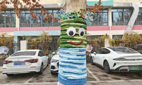 行道树“穿毛衣”，城市添“彩”增暖意