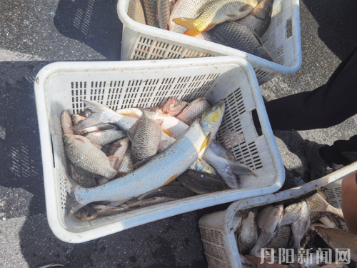 a21c6a4ebe250f1d99620b4377fa060d