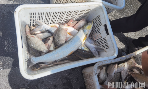 深夜非法电鱼，五人均被判刑