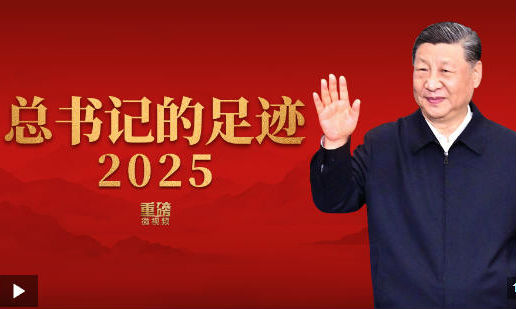 重磅微视频丨总书记的足迹2025