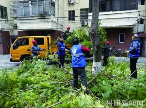 cde16c8dd485c7d8815adb48dd58431c