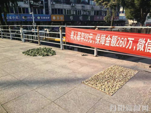 f0cf421b7ae883d2746fa1823602c7d7