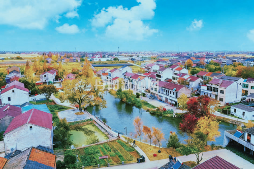 深耕“三农”沃土，绘就乡村振兴新画卷