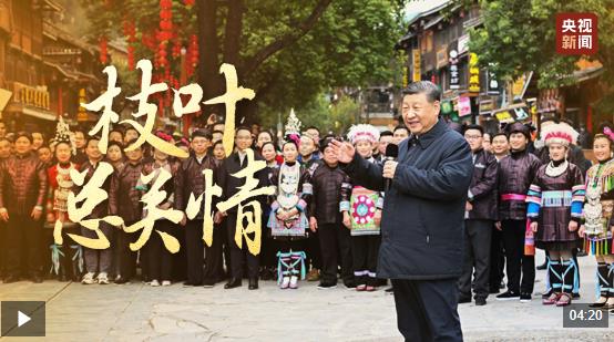 时政微视频丨枝叶总关情