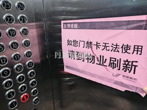 250466203c19e98164041cba5cd62314