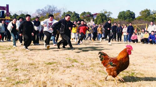 ad4414df76d95fe649478f344380cf3f